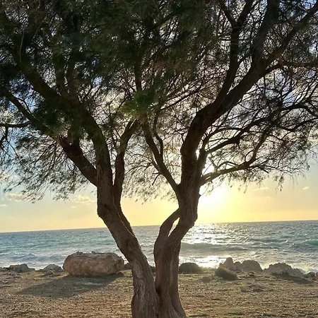 아파트 D1peyiagarden *