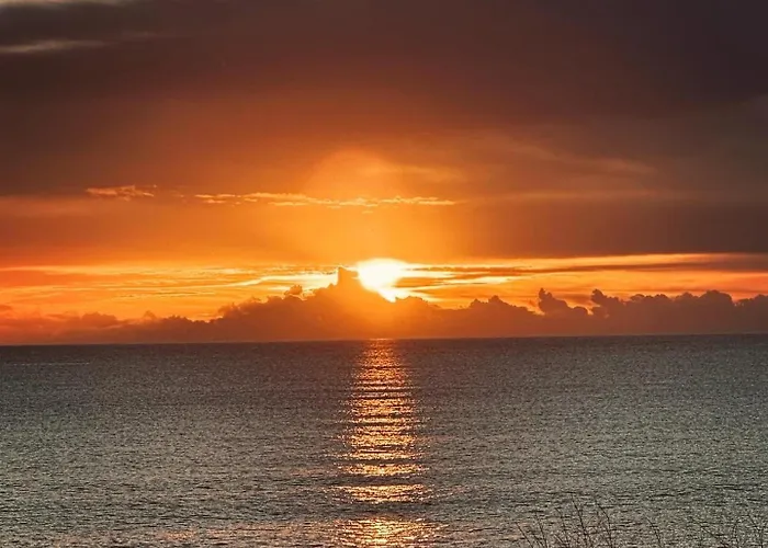 D1peyiagarden Pegeia