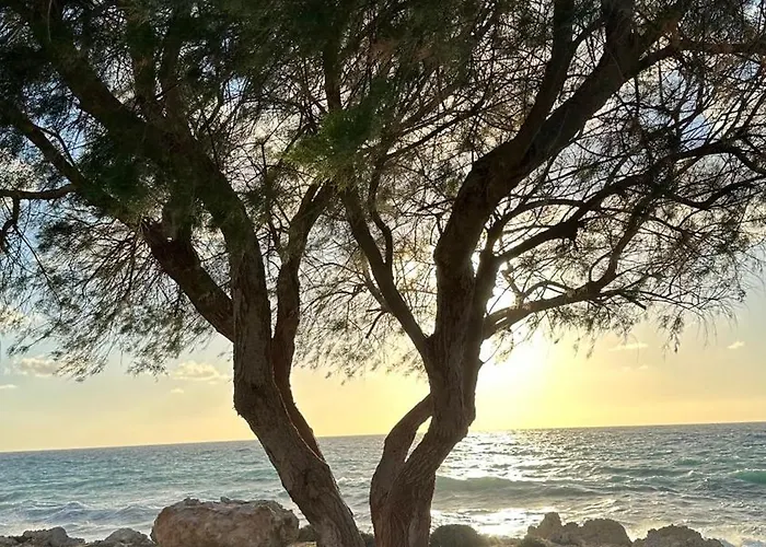 Apartmán D1peyiagarden *