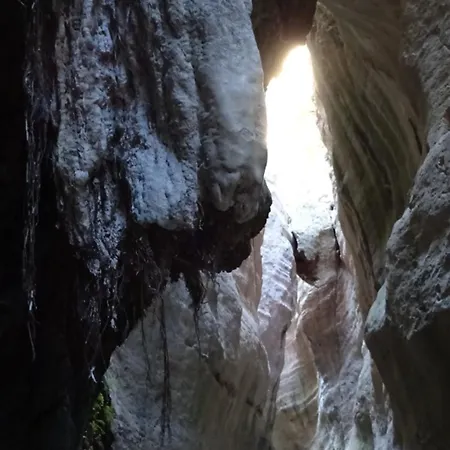 Apartamento D1peyiagarden