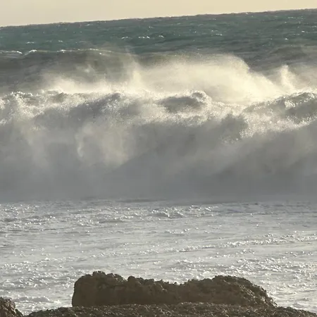 Apartman D1peyiagarden *