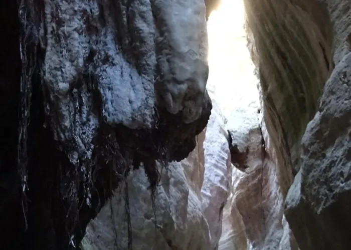 アパート D1peyiagarden