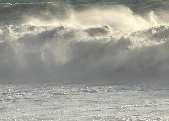 アパート D1peyiagarden *