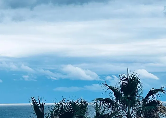 D1peyiagarden * ペイヤ